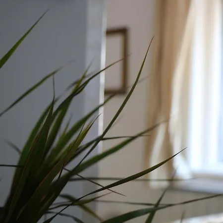 Sunshine Apartman *